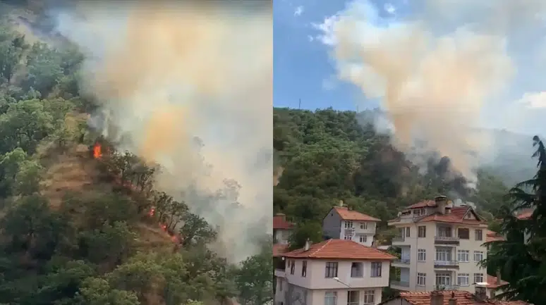 Kastamonu'da orman yangını : 40 dönümlük alan zarar gördü