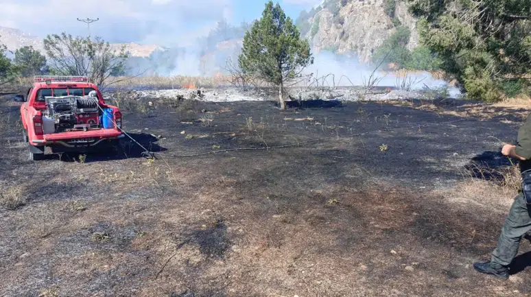 Bilecik'te elektrik direğinden yangın çıktı, 3 dönümlük alan yok oldu