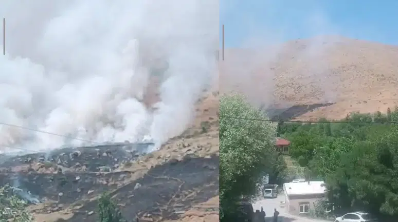 Bitlis'te yangın nedeniyle binlerce arı telef oldu