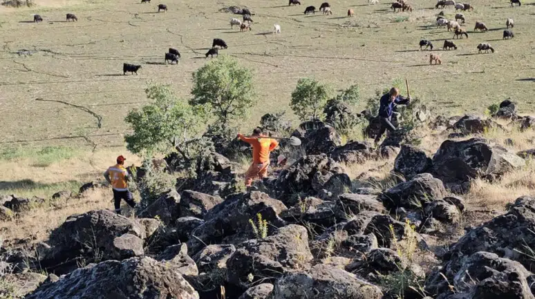 Bitlis'te otluk alanda korkutan yangın :500 dönümlük alan zarar gördü