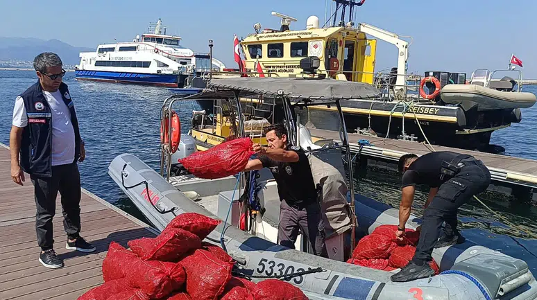 İzmir'de yasa dışı kara midye operasyonu : 560 kilogram ele geçirildi
