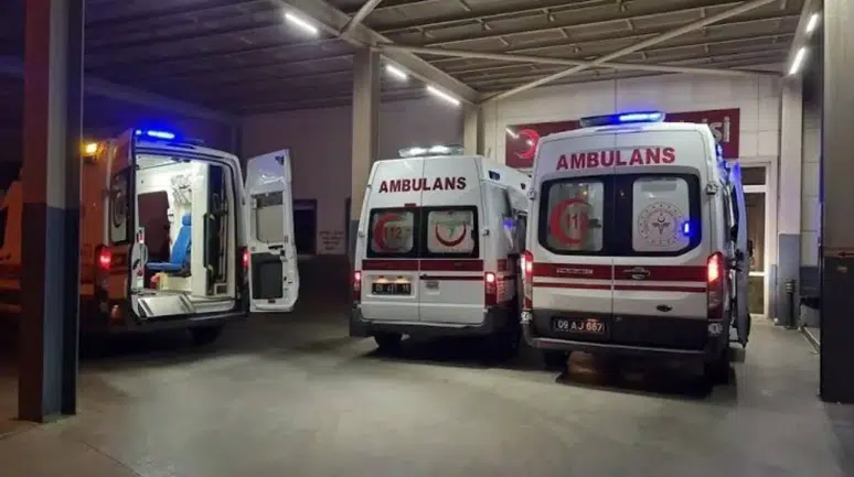 Siirt'te akılalmaz olay : Kümese tavuklarını kontrol etmeye girdi, yılan tarafından ısırıldı