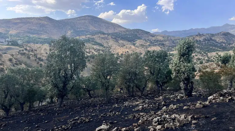 Siirt’te bir günde 5 yangın : Bir bölgede söndürme çalışmaları sürüyor