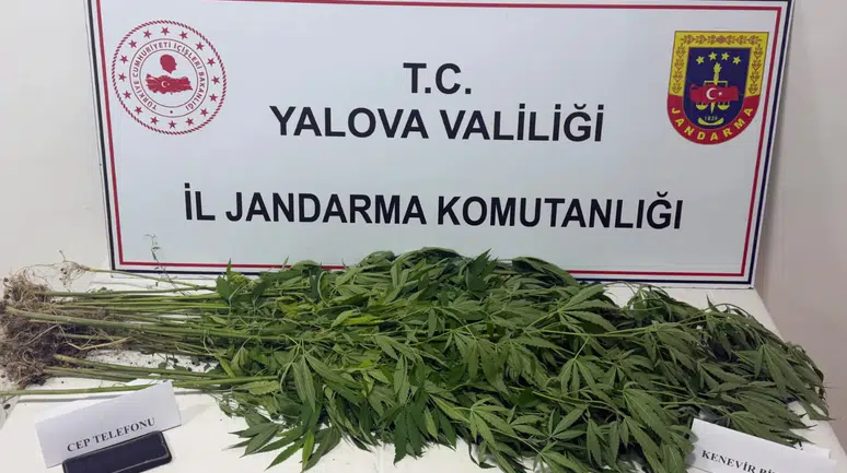 Yalova'da uyuşturucu operasyonu : 3 şüpheli gözaltına alındı