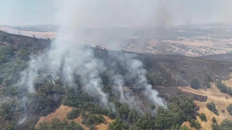 Tunceli'de orman yangını : Havadan ve karadan müdahale sürüyor