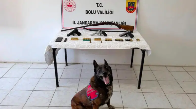 Bolu'da cephanelik gibi eve jandarma baskını : Mühimmat ele geçirildi, 1 tutuklama