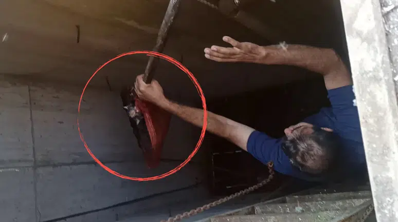 Namaz kılmak için indi, yavru kedinin sesini duydu ! 5 metrelik kuyudan kurtardı