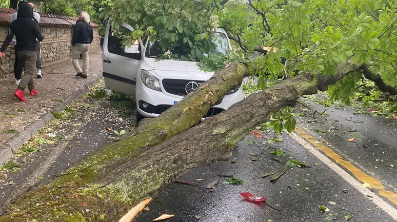 Niğde’de sağanak ve rüzgar ağacı kökünden söktü ! Otomobilin üzerine devrildi