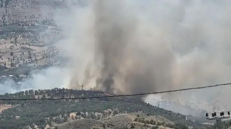 Adıyaman'da orman yangını