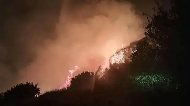 Antalya Serik’te otluk yangını