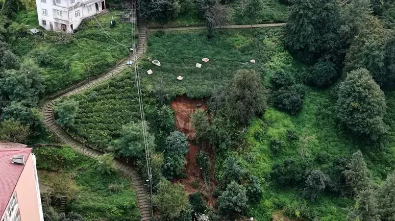 Burada sabırla hasat ediyorlar