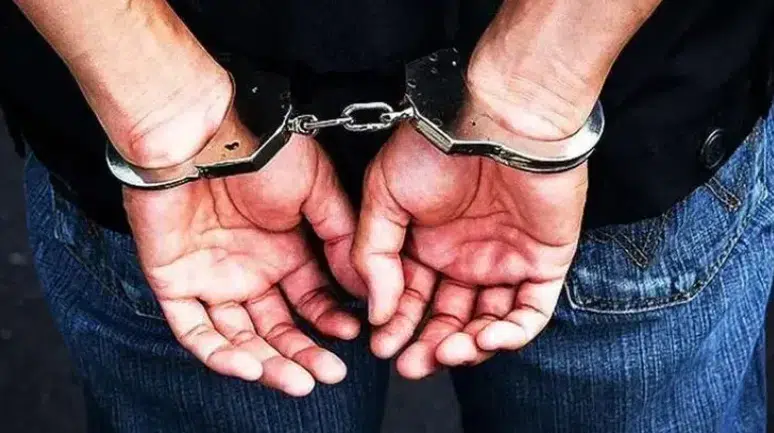 Alihan Kuriş suç örgütüne operasyon: 20 tutuklama