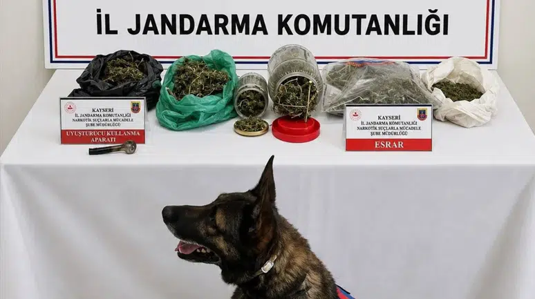Kayseri'de uyuşturucu operasyonu : 1 tutuklu