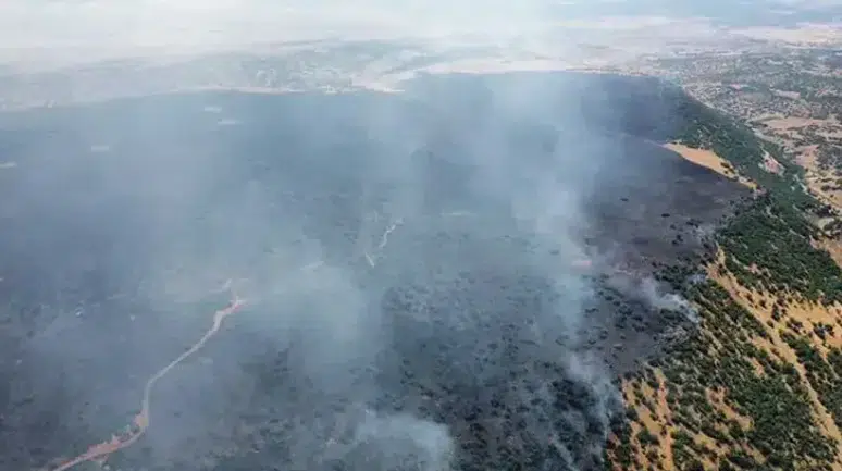 Elazığ'da örtü yangını : Ekipler alevleri kontrol altına almaya çalışıyor