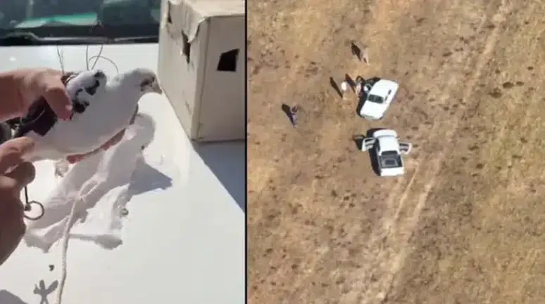 Van'da dronla tespit edilen yasa dışı avcıya ceza yağdı