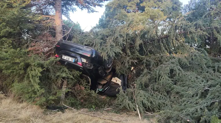 Elazığ'da otomobil ağaca çarptı : Sürücü yaralandı