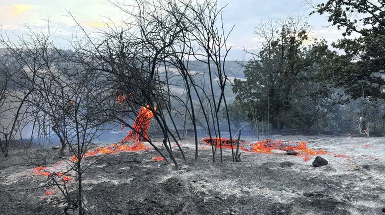 Kırklareli’nde tarım arazisinde çıkan yangın 5 saatte söndürüldü