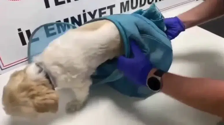 Tekirdağ'da uyuşturucu operasyonu