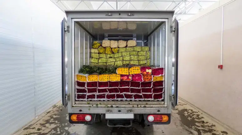 Bozulabilir Gıda Taşımacılığında Yeni Ceza Tutarı Nedir?