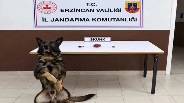Erzincan’da Uyuşturucu Operasyonu: Çok Sayıda Gözaltı