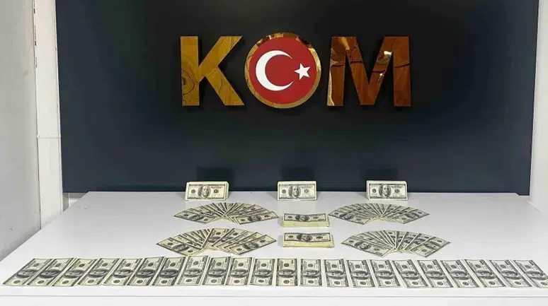 Bodrum'da Sahte Dolar Operasyonu: Bir Kişi Tutuklandı