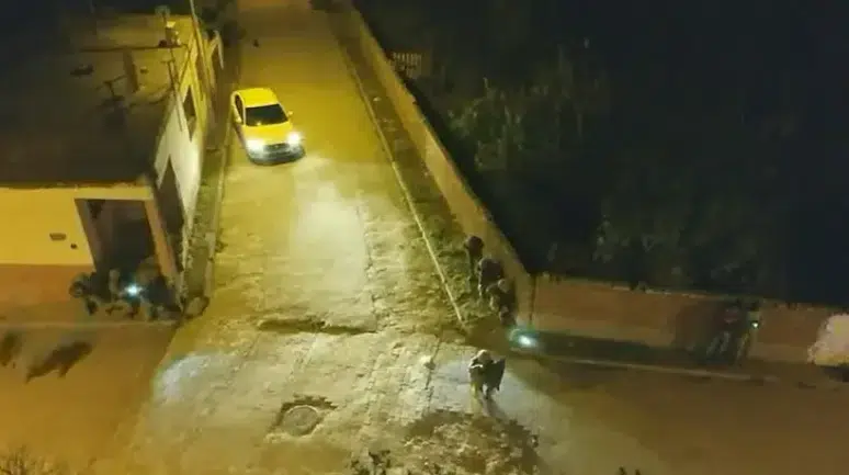 3 ilde uyuşturucu operasyonu: 111 gözaltı