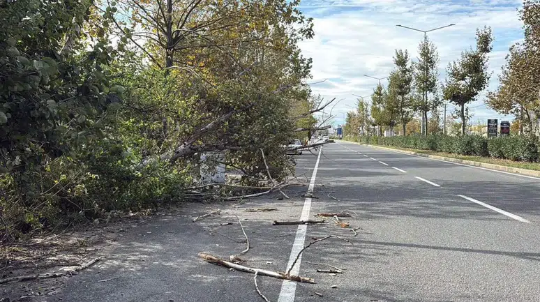 Tekirdağ'da Kuvvetli Fırtına Hayatı Olumsuz Etkiledi