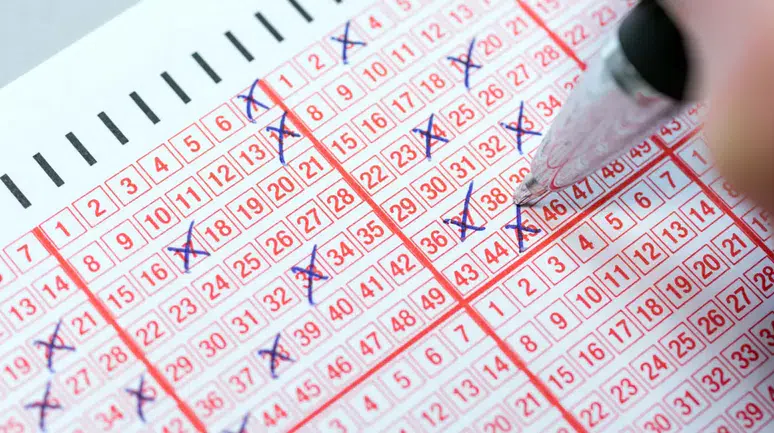 Sayısal Loto Sonuçları Açıklandı: 19 Eylül 2026 Çılgın Sayısal Loto Sorgulama Ekranı