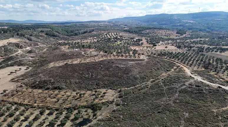 Canakkale'de Yanan Ormanlar Küllerinden Yeniden Doğuyor