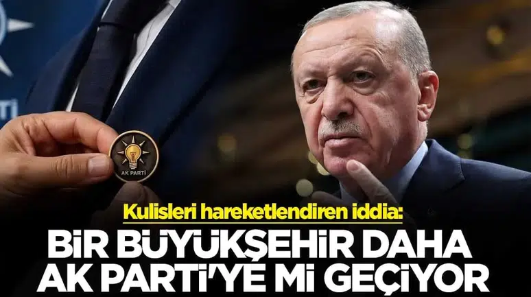 Eskişehir'de Aronya Üretimi: Şifa Deposu Süper Meyve