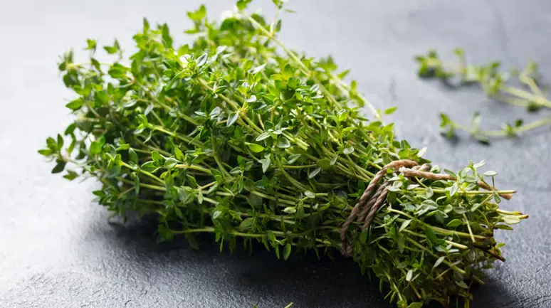 Mutfağınızdaki O Küçük Kavanoz: Kekik Gerçekten Doğal Antibiyotik Mi?