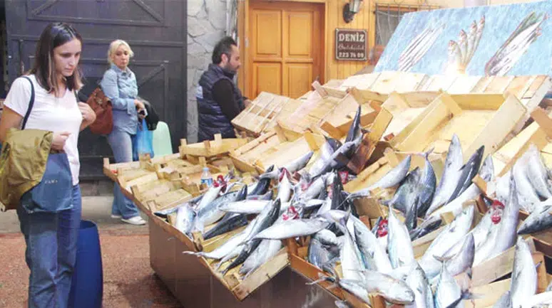 Karadeniz'de hamsi ve palamut neden bu kadar fazla?