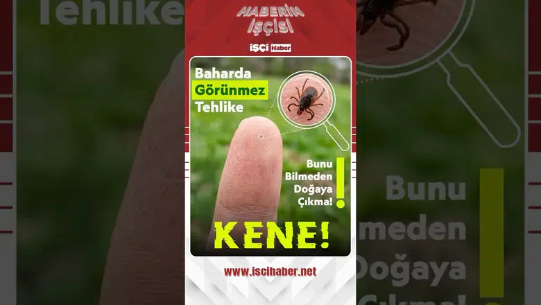 Bahar aylarında kene alarmı : Peki, keneden korunmak için neler yapmalıyız?