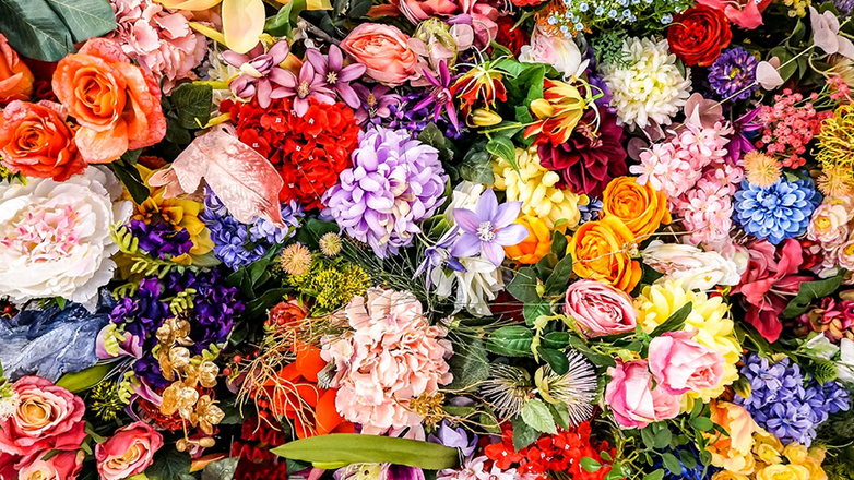 Temmuz ayında hangi çiçek ve bitkiler ekilir?