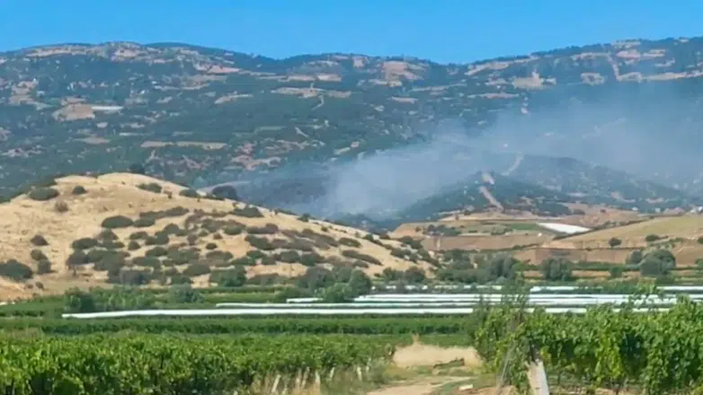 Manisa Sarıgöl'de orman yangını çıktı