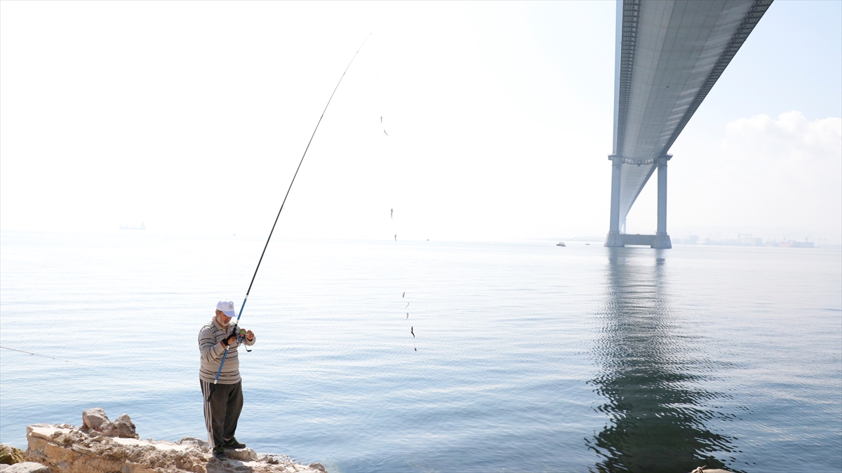 Osmangazi Köprüsü'nün altı olta balıkçılarının uğrak yeri oldu! 10