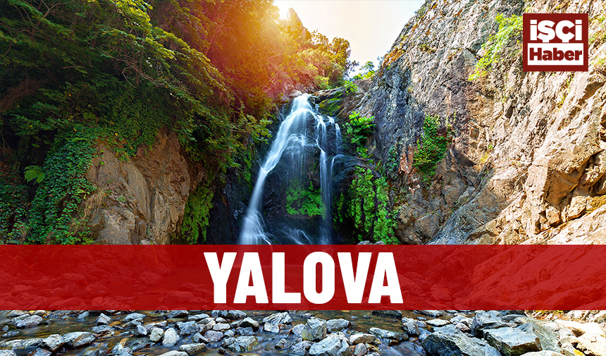 Türkiye sandık başına gitti! İşte il il, ilçe ilçe yerel seçim sonuçları 79