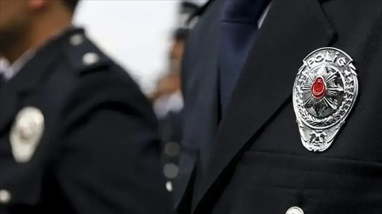 Enneagram tipinize göre meslek seçimi 6