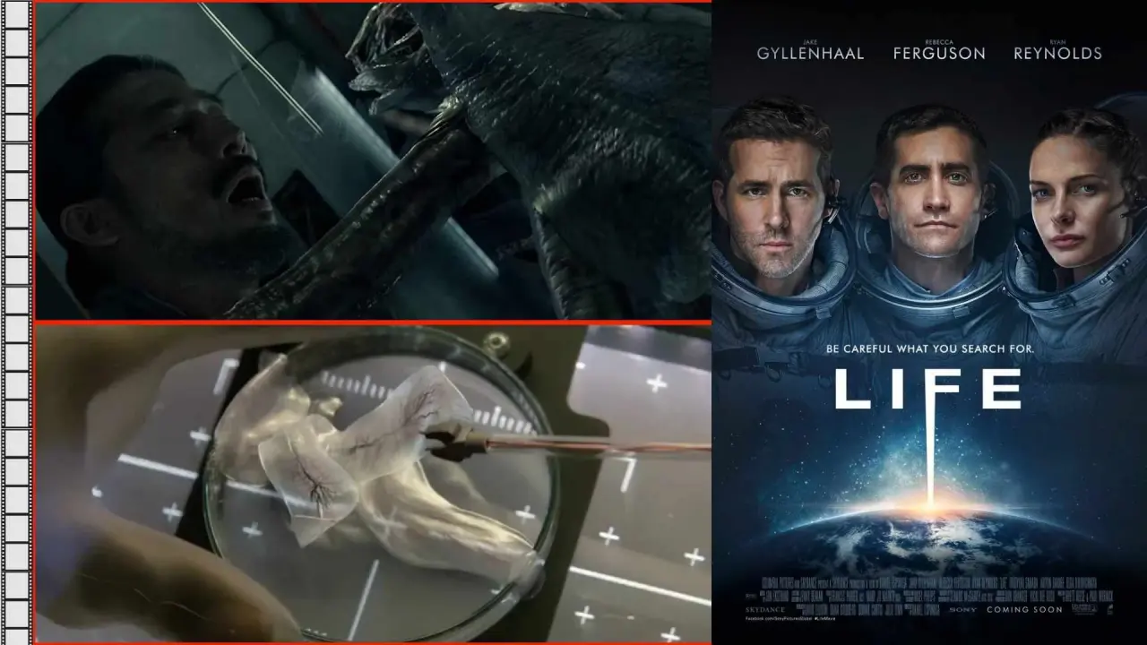 6-12 Ekim: Haftalık film önerileri 3