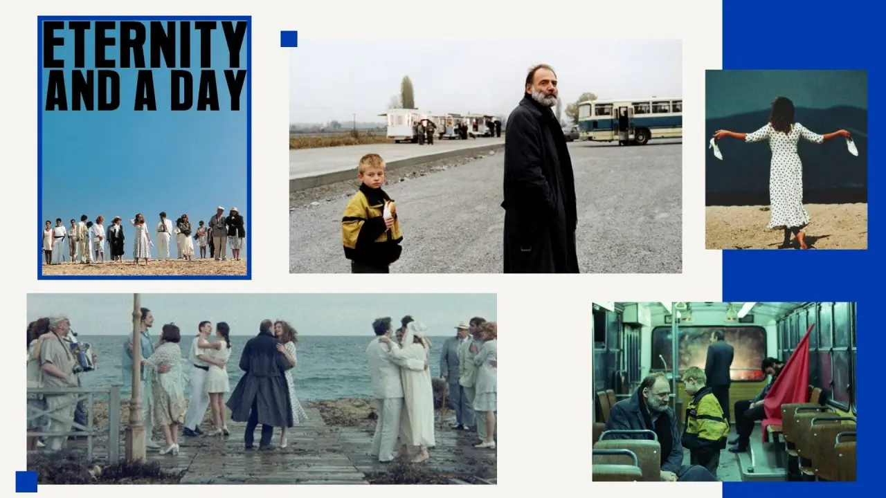 Film önerileri: Hakikatin eşiğindeki filmler 4