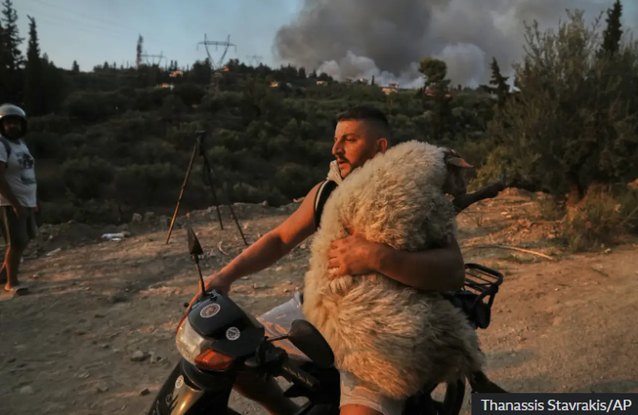 2025’in en çarpıcı 10 görüntüsü 4