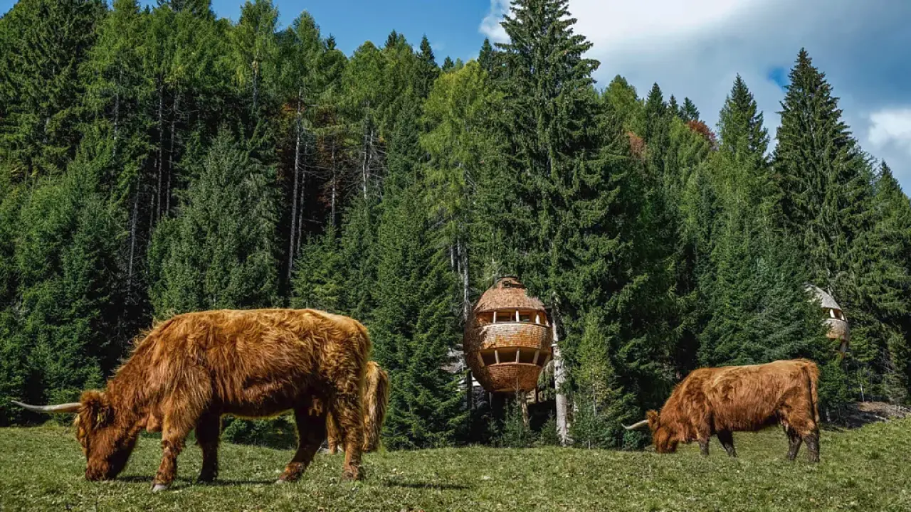 Dünyanın en muhteşem 10 ağaç evi! 1