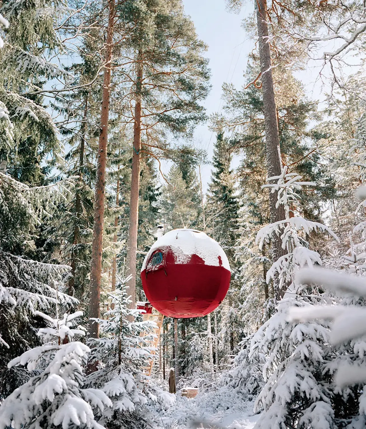 Dünyanın en muhteşem 10 ağaç evi! 8