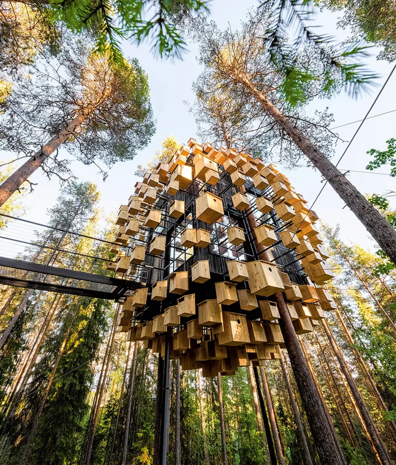 Dünyanın en muhteşem 10 ağaç evi! 5