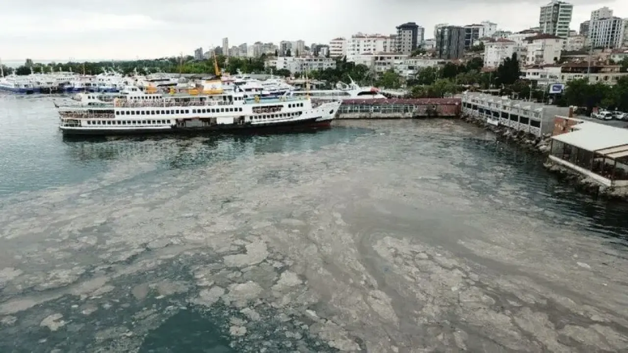 Deniz salyası nedir ve nasıl oluşur? Müsilaj nedir ve neden olur? Deniz salyası neden kaynaklanır, çözümü nedir, nasıl geçer, müsilaj nasıl temizlenir? - Yaşam Haberleri