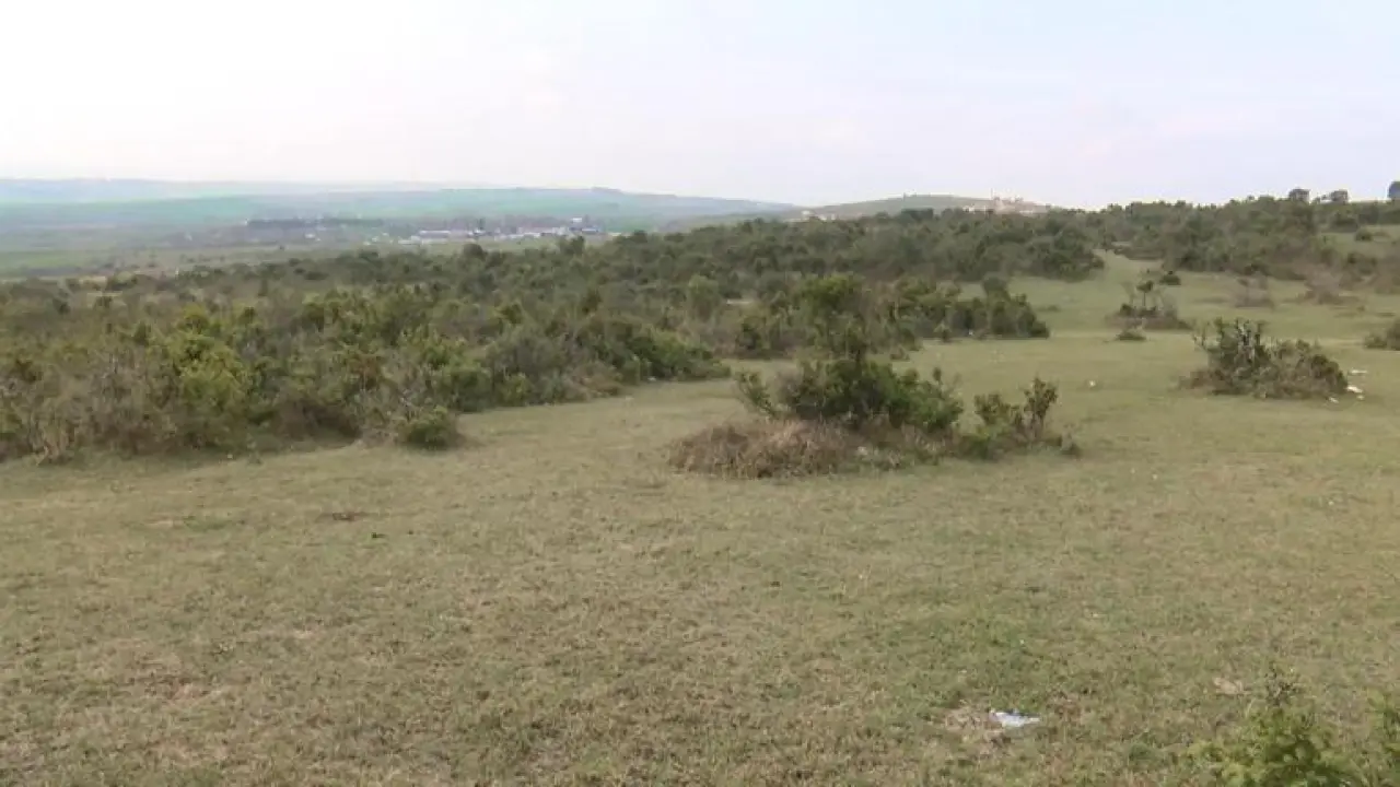 Arnavutköyde insana ait kafatası bulundu; ekipler harekete geçti