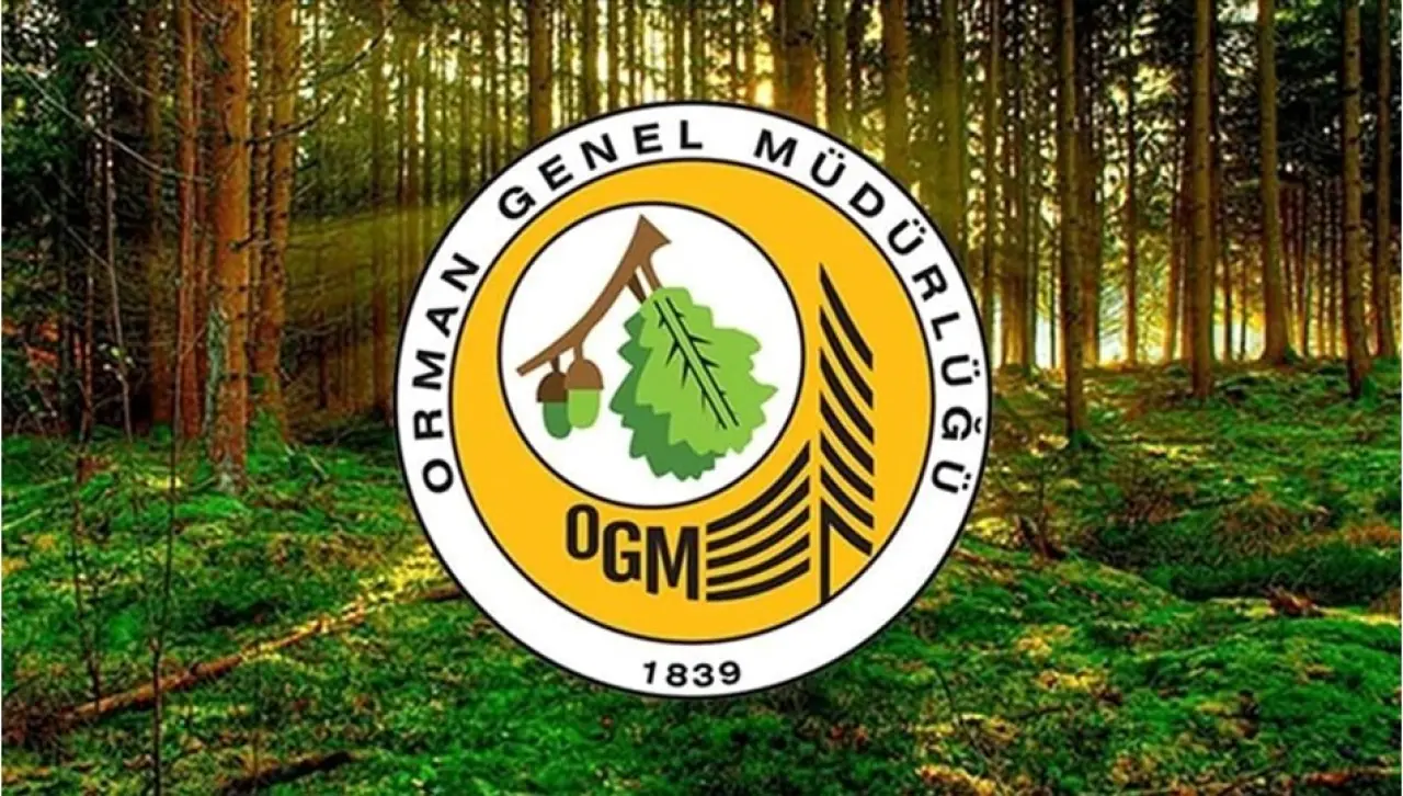 OGM kura çekimi ne zaman? 2025 OGM işçi alımı kura çekilişi sonuçları - Son Dakika Türkiye Haberleri | NTV Haber