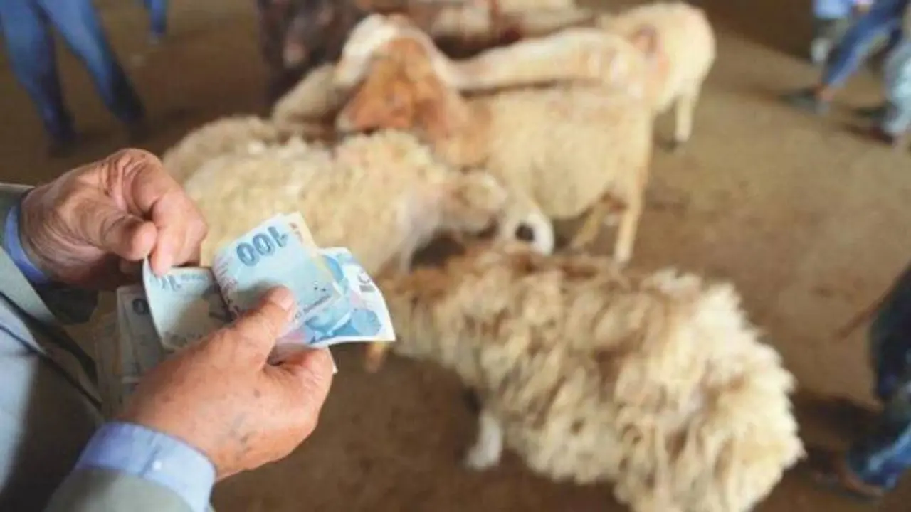 Her bayramda aynı polemik… Kurban kesmek Ku'an'da var mı yok mu - Son Dakika Haberleri