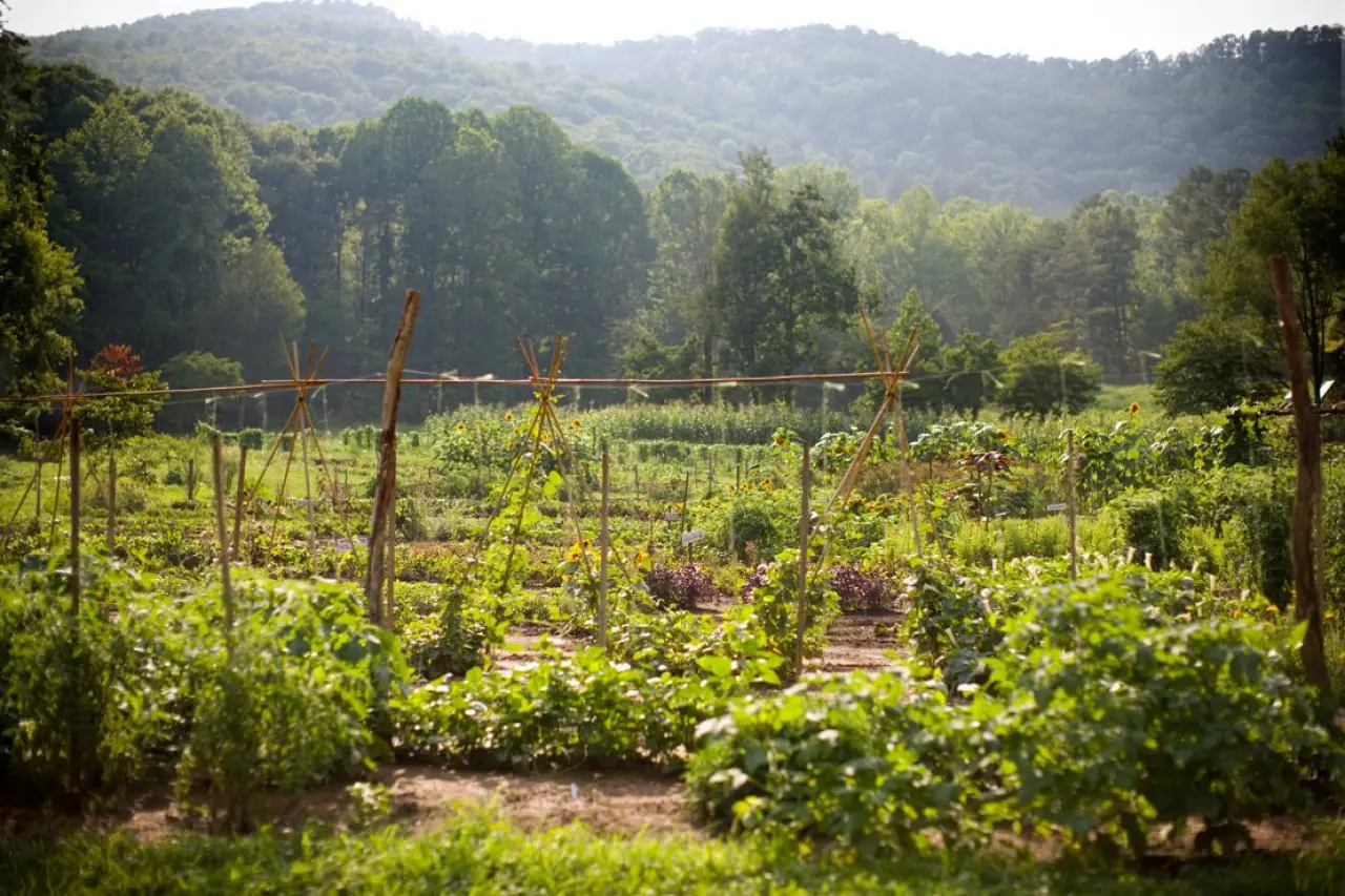 Blackberry Farm in Tennessee is located on a sprawling 4,200-acre plot and has a wine cellar inventory of 170,000 bottles.