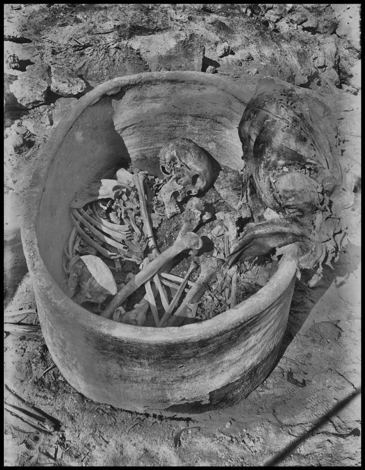 The remains are now kept at World Museum Liverpool.